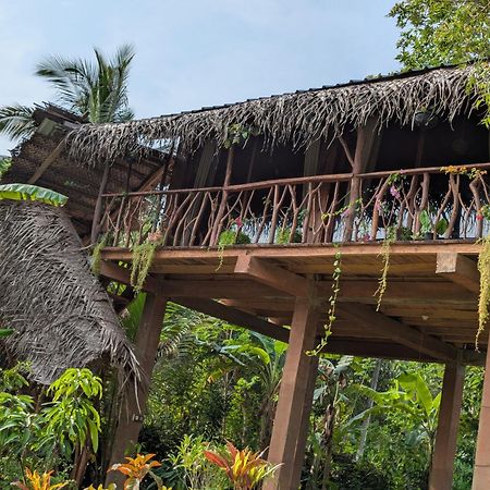 Sigiriya Rock View Tree House Villa Екстериор снимка