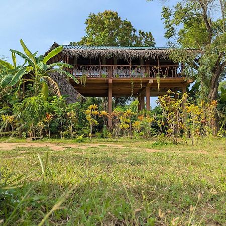 Sigiriya Rock View Tree House Villa Екстериор снимка