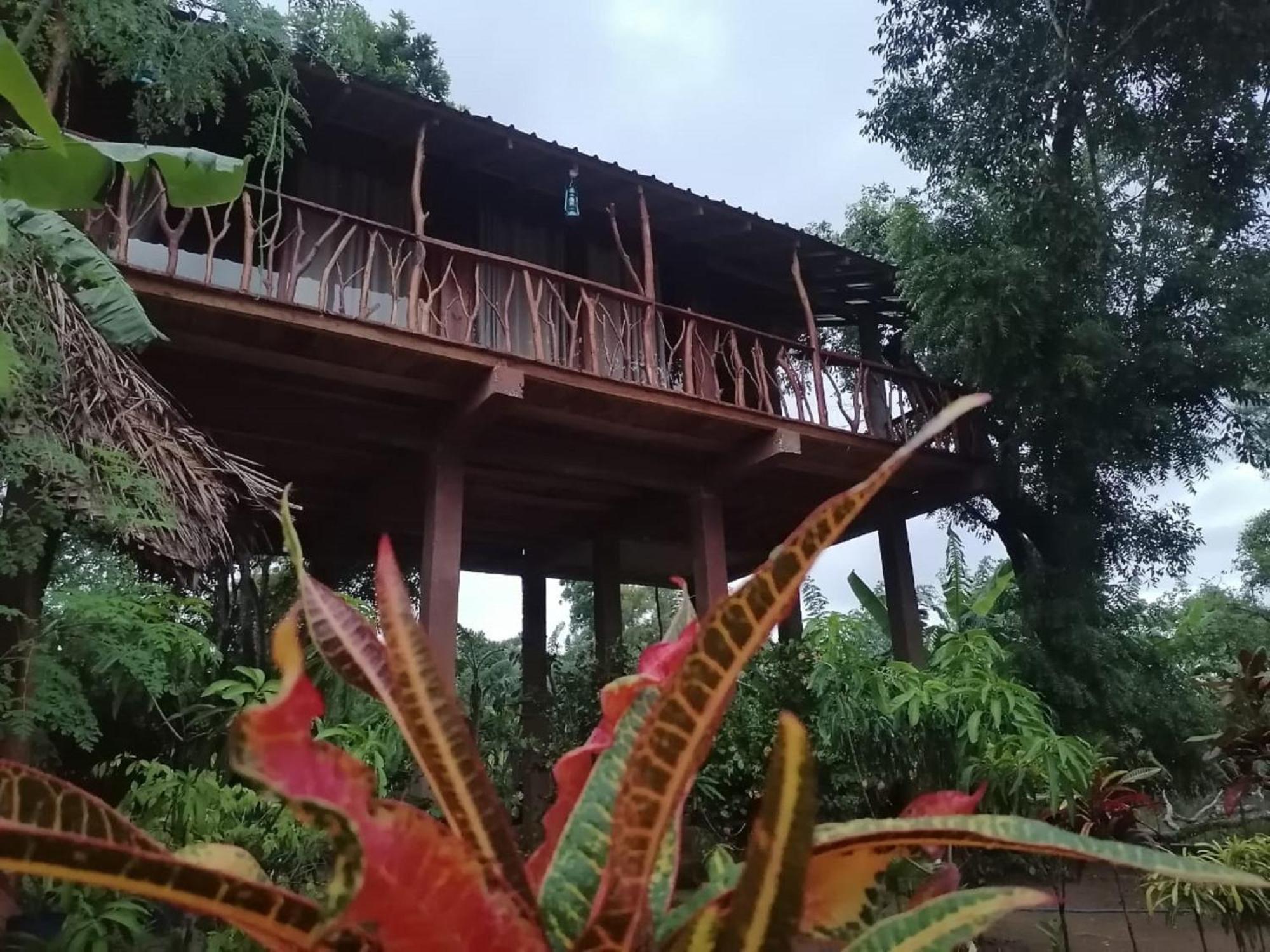 Sigiriya Rock View Tree House Villa Екстериор снимка