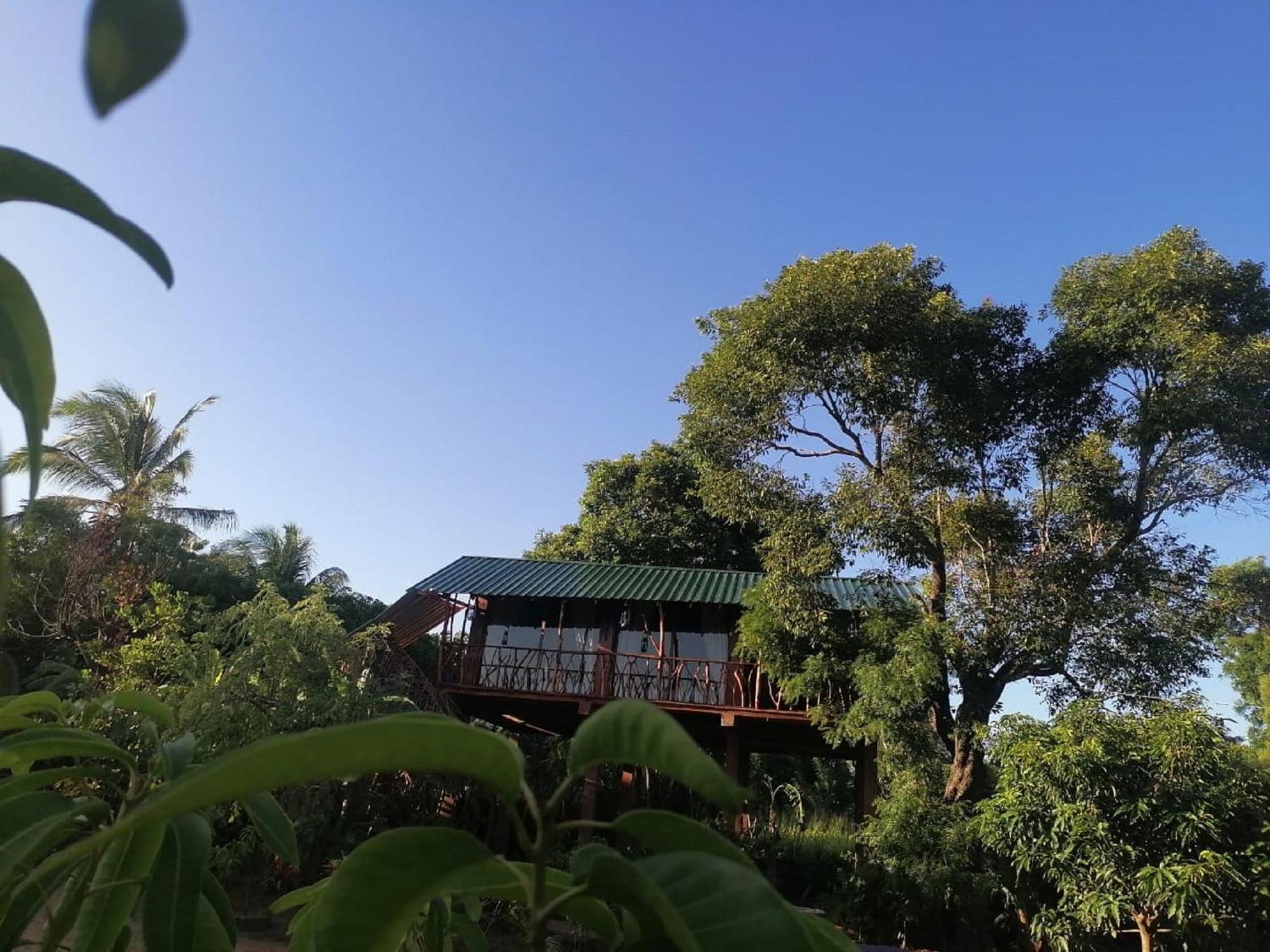 Sigiriya Rock View Tree House Villa Екстериор снимка