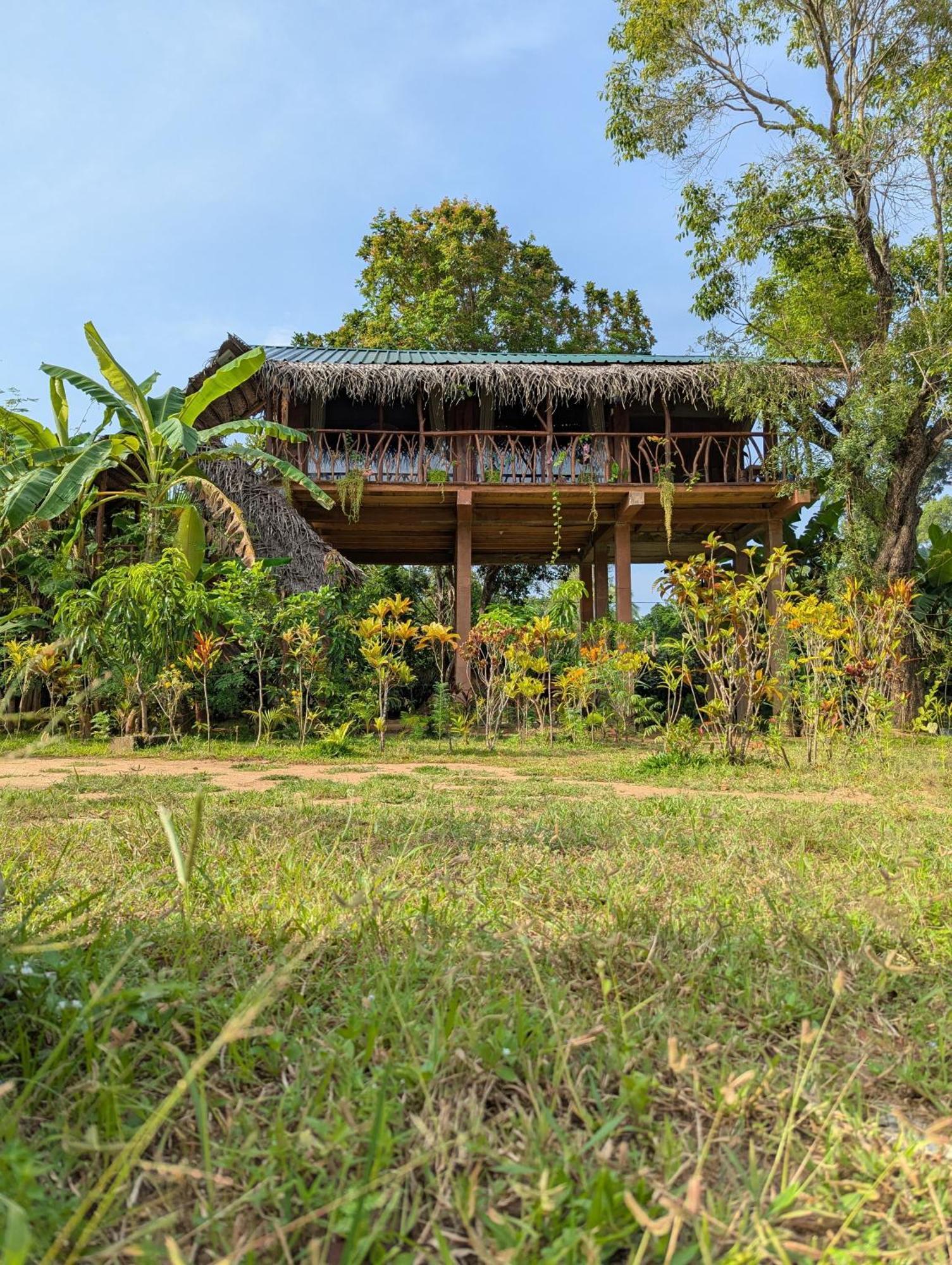 Sigiriya Rock View Tree House Villa Екстериор снимка